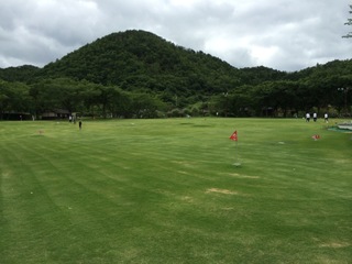 image-ed1cd.jpg